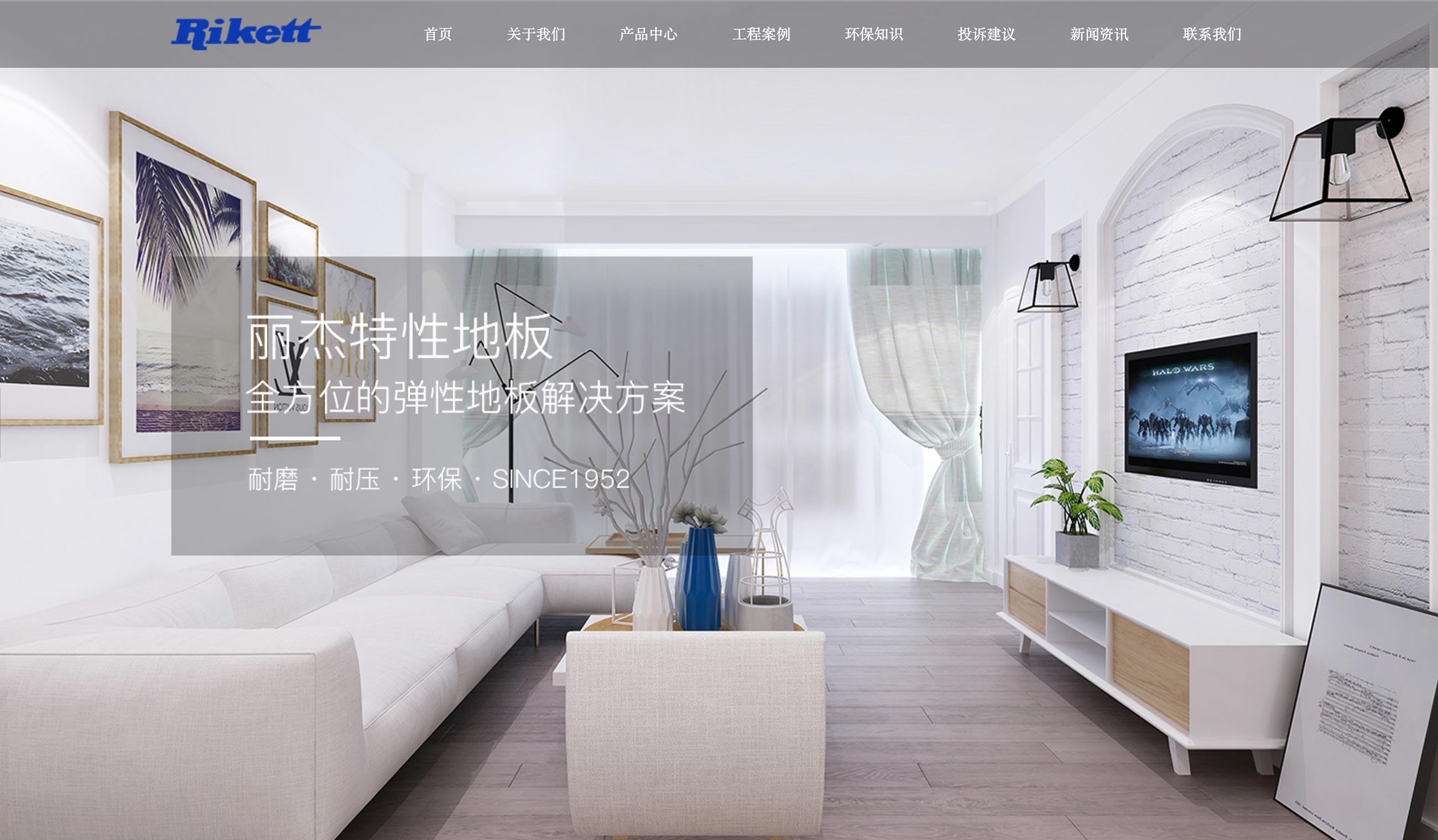 Screenshot of the Rikett China website
