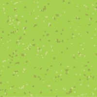 8876 Key Lime