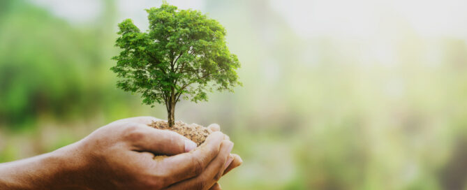 quartz tile flooring